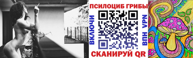 Галлюциногенные грибы Cubensis  наркота  Балахна 